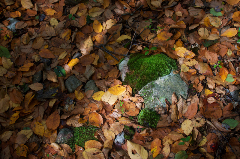 Illustration for article titled hiking about